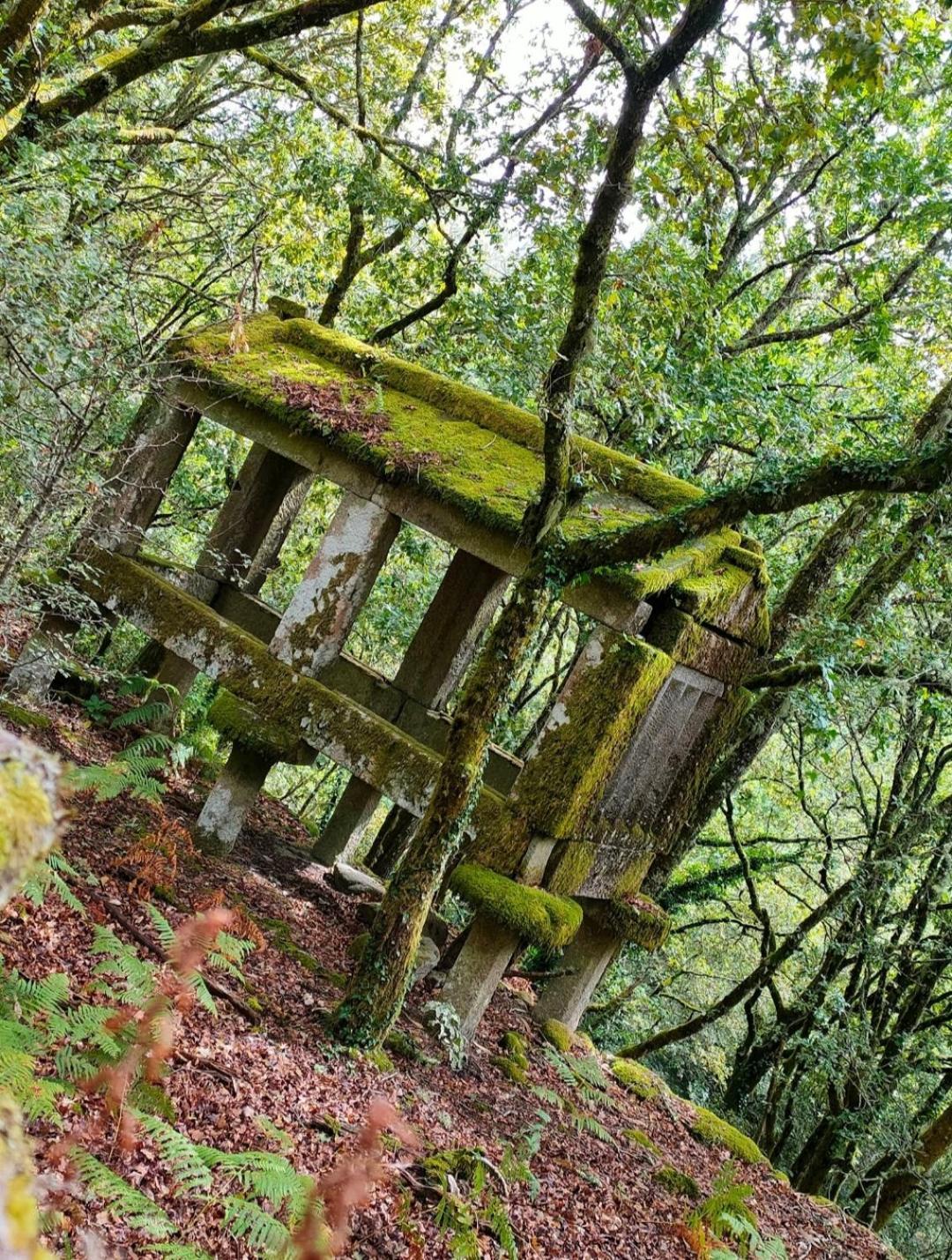 Casa Da Rapadoira Vendégház Laxoso de Abaixo Kültér fotó